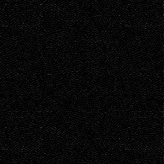 Myst - Black/Black